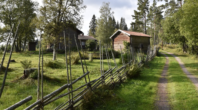 Fägata kantad av gärdesgårdar i Skallskog.