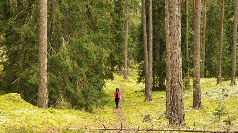 Bild på en kvinna som vandrar i Storhedens naturreservat