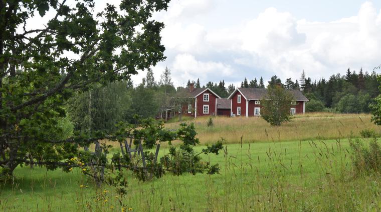 Smedgården i Hisvåla med det småbrutna odlingslandskapet i förgrunden.